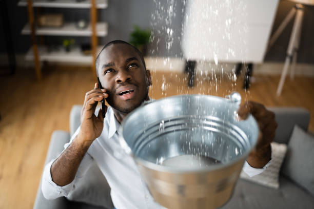 Best Water damage contractors near me  in Hobbs, NM