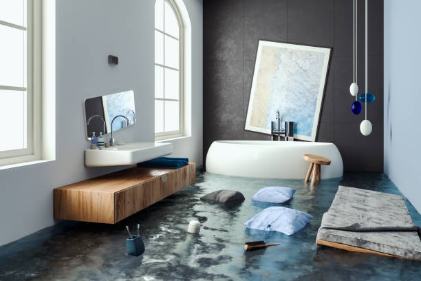 Best Mold removal after water damage  in Hobbs, NM