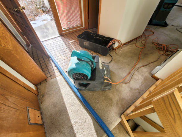 Best Carpet water damage restoration  in Hobbs, NM