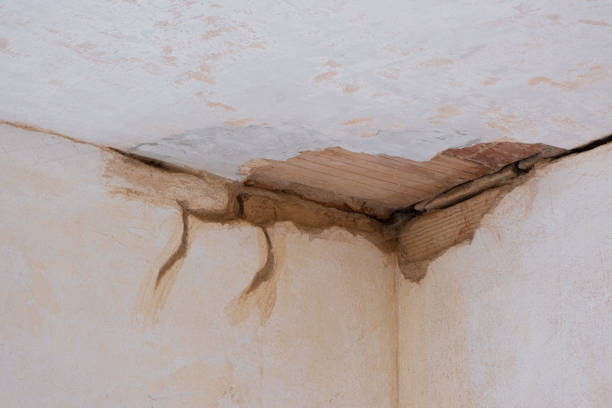 Best Water damage restoration mold remediation  in Hobbs, NM