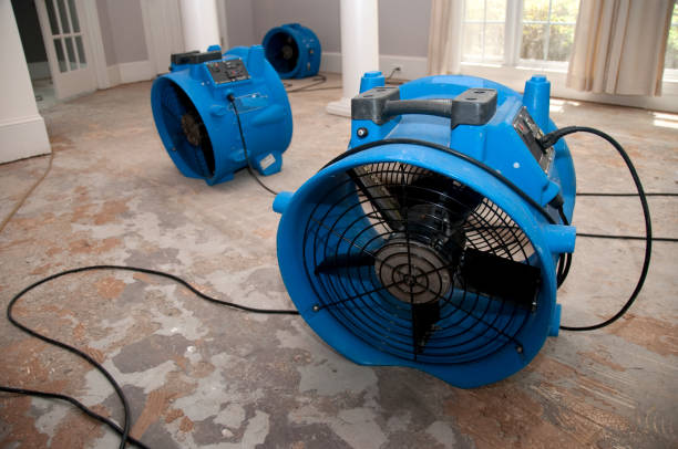 Best Water damage cleanup near me  in Hobbs, NM