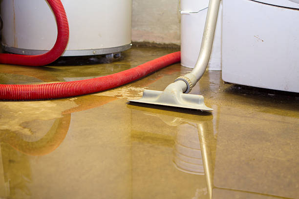 Best Basement water damage restoration  in Hobbs, NM