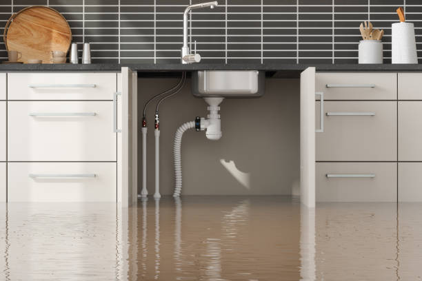 Best Water damage mitigation services  in Hobbs, NM